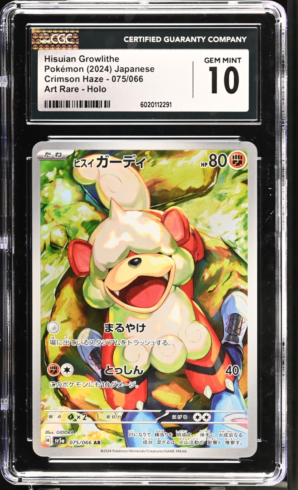 CGC 10 Hisuian Growlithe 075/066 AR Art Rare Crimson Haze sv5a Pokemon Card