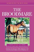 Understanding The Broodmare | Your Guide To Horse Health Care And Management