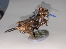 Shield-Captain on Dawneagle Jetbike Professional Paint