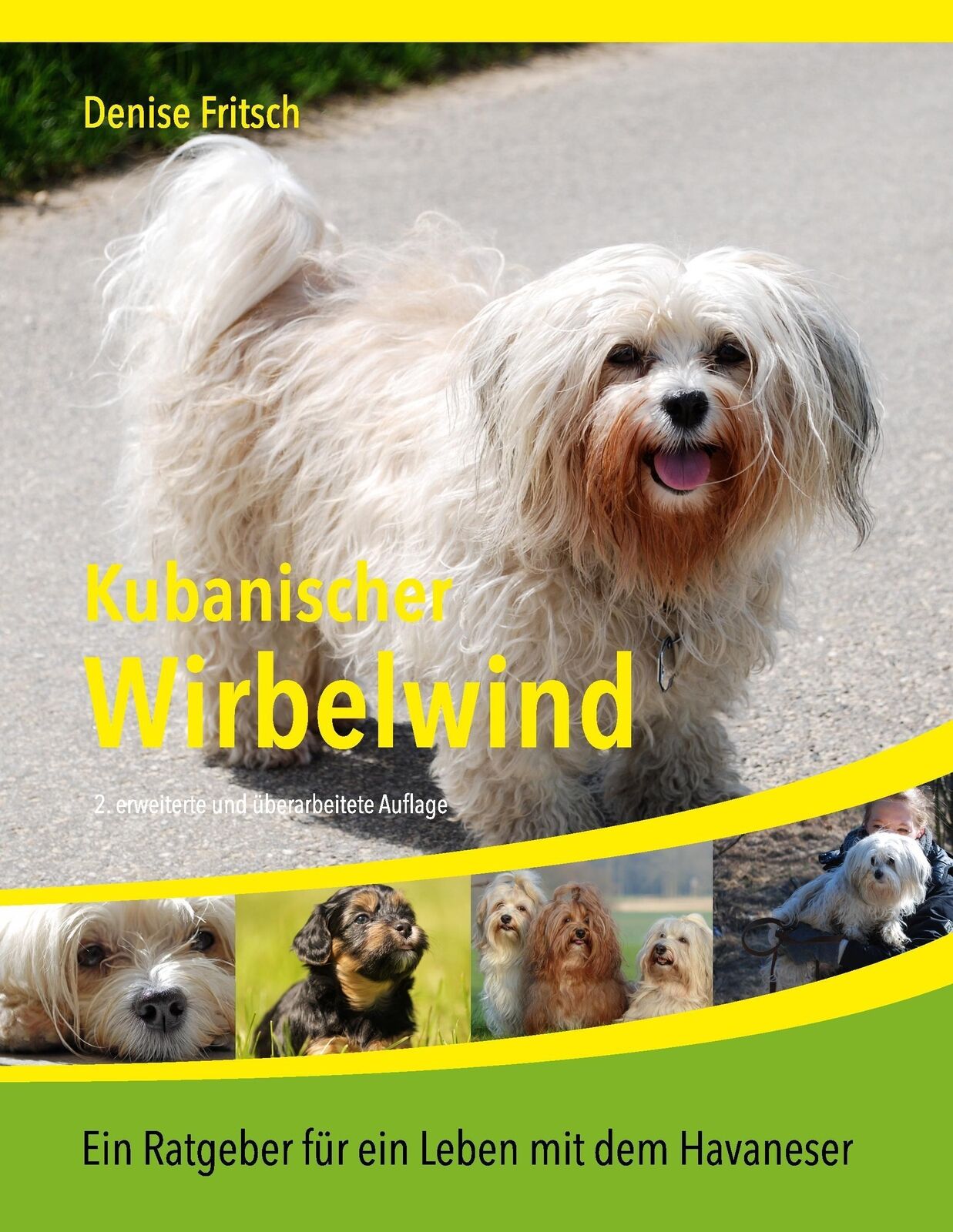 Thumbnail - Kubanischer Wirbelwind Ein Ratgeber Für Ein Leben Mit Dem Havaneser