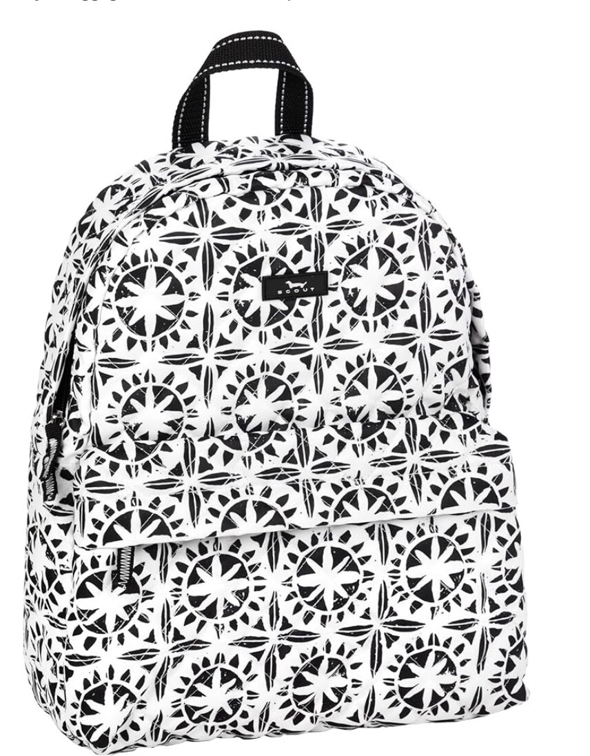 SCOUT Backstory Mini Backpack, Adjustable Straps, iPad/Tablet Sleeve, NWT