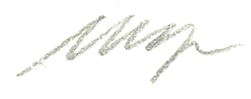 WAYNE GONZALES Homes Firmado 18" x 14" Grabado 2014 Contemporáneo Blanco y Negro Foto 2 de 2