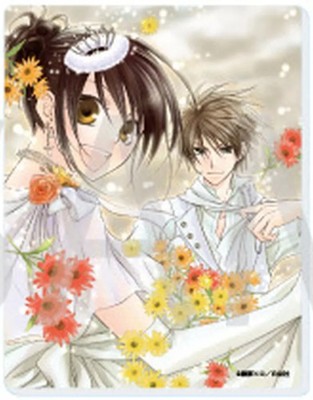 Character card Misaki Ayuzawa & Takumi Usui (F) ''Acrylic card Chairman is a