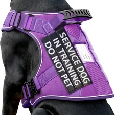 Reflective Dog in Training Vest Harness for Medium Large Dogs, Adjustable Hea...
