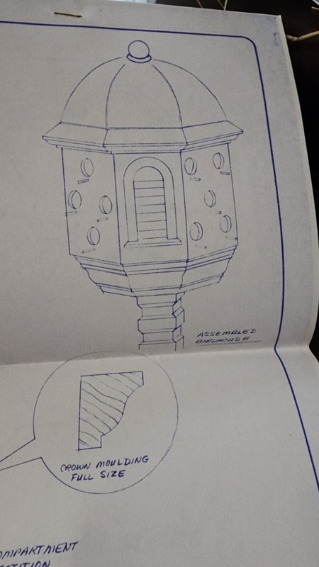 SWALLOW Bird House Plans; Sun Designs NEW