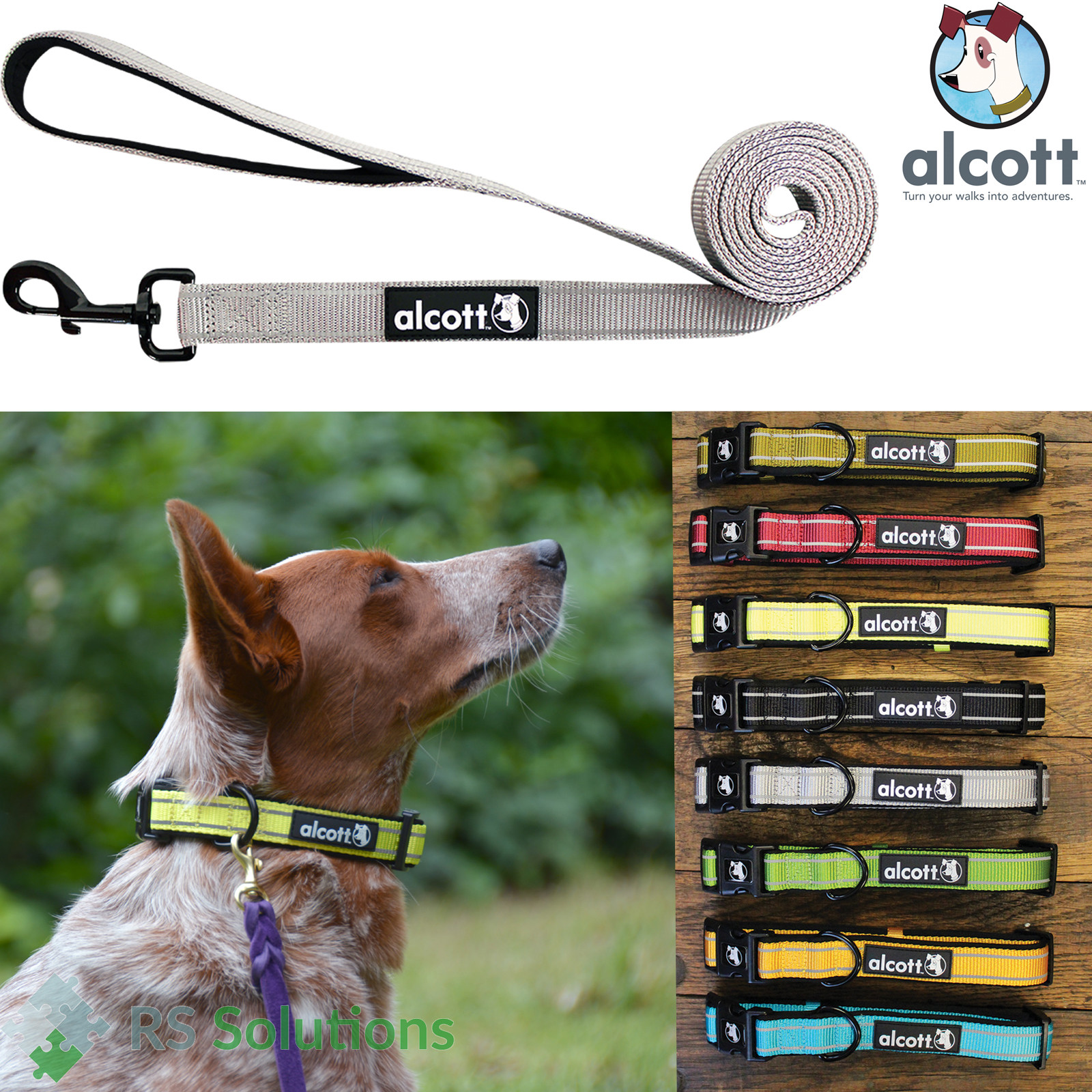 ebay dog leads and collars
