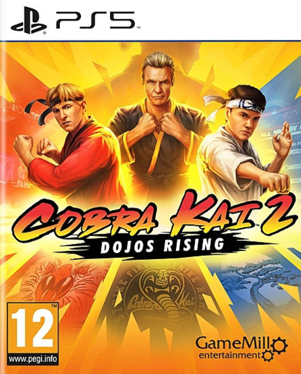 Cobra Kai 2: Dojos Rising