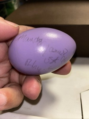 1996 White House Easter Egg Roll Signed Mandy James 1996 Olympic Team