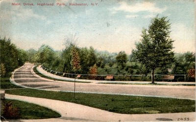 Main Drive, Highland Park, Rochester, N. Y. Postcard