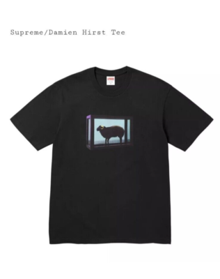 Supreme®/ Damien Hirst Tee MEDIUM (**New) | eBay Supreme®/ Damien Hirst Tee MEDIUM (**New) | eBay
