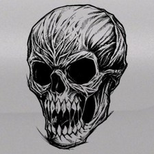 Skull Head Zombie Graphic Tailgate Hood Window Vinyl Decal Vehicle Truck SUV Car