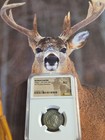 Philip The 1st A.D.244 SILVER AR.DOUBLE DENARIUS..Au High Grade — photo 4