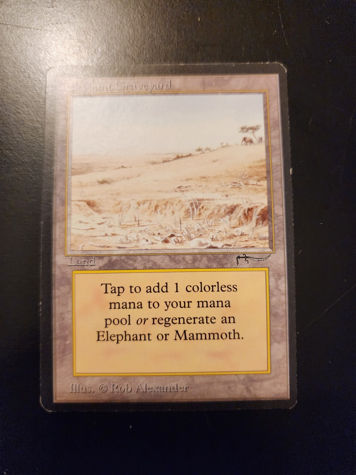Elephant Graveyard Magic: The Gathering MTG  x1 Arabian Nights Lightly Played