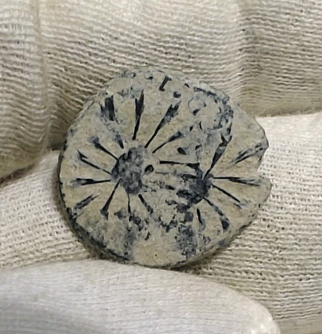 Mexico 1828 1/8 Real Durango Mint DOUBLE STRUCK Very Rare Error KM# 321