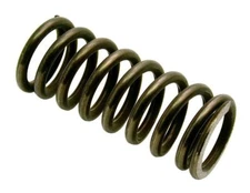 Sonnax 47re 3-4 Accumulator Spring 46re 46rh 47rh 42re 42rh Transmission Dodge