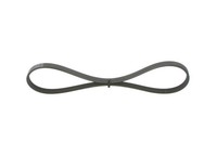 Bosch Keilrippenriemen U.A. FüR CitroËN, Fiat, Hyundai, Kia