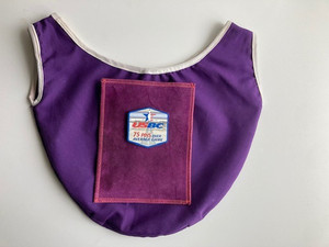 USBC 75 Pins Over Average Game Magnet, Unbranded See Saw & Shammy Pad - USED