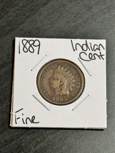 1889 Indian Head Cent Penny FN Fine U.S. 1c Coin (Raw15102)