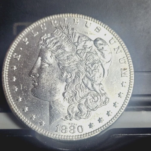 1880 Morgan Dollar  - NICE BU COIN- BEAUTIFUL DETAIL - No Reserve