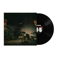 The Plot In You 'The Plot In You' LP Schwarz Vinyl