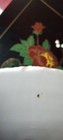 Bild 10 von 10