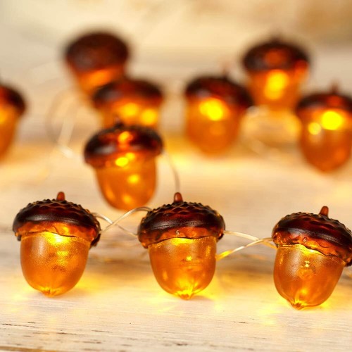 BOHON 3D Acorn Fall Decor Harvest String Lights Battery Powered with Remote a
