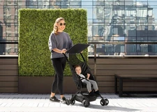 Delta Children The Clutch Stroller |1740