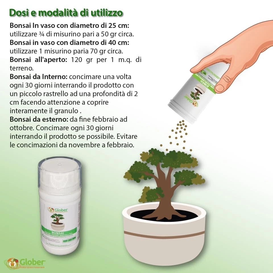 Foto 3 di 3