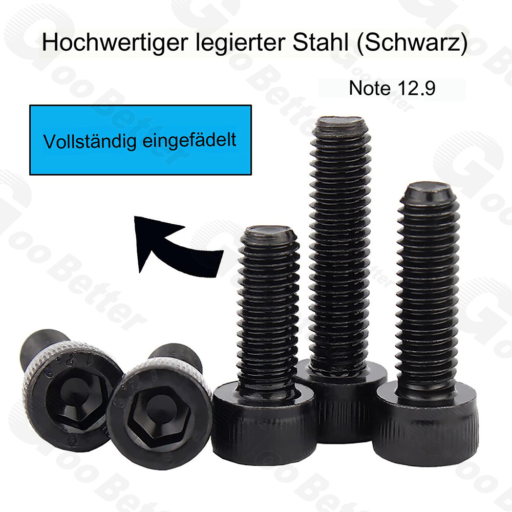 Bild 3 von 85