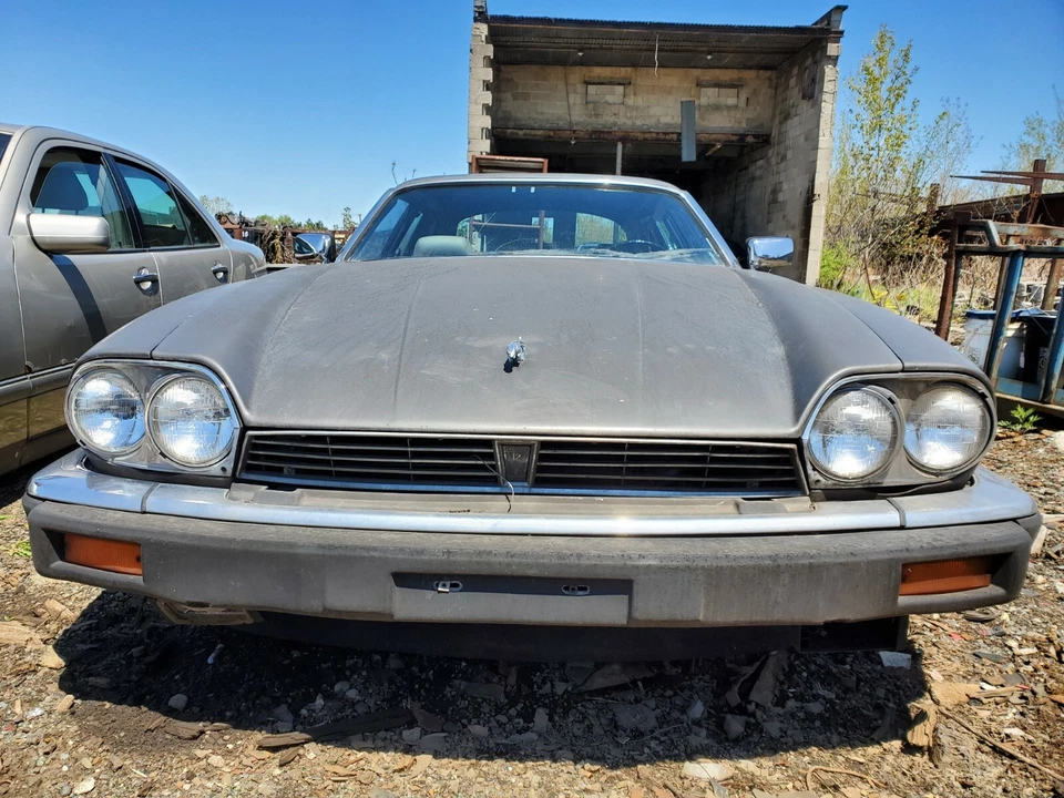 1976 - 1991 Jaguar XJS Upper Grille OEM Foto 2 de 4