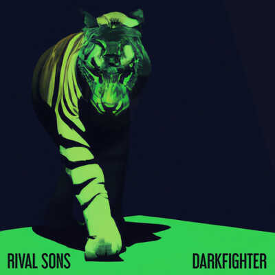 DARKFIGHTER, New Music