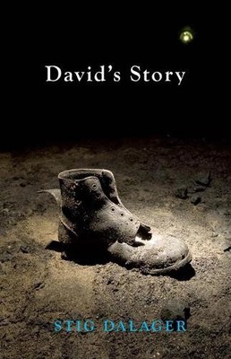 Stig Dalager David's Story (Taschenbuch)