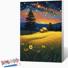 Framed Paint by Numbers Kit for Adults Beginner, Starry Night Easy Adult Paint b