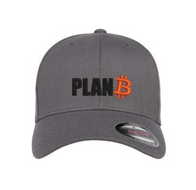 Bitcoin Plan B Crypto HODL BTC Embroidered Flexfit Fitted Ball Cap  GRAY L/XL