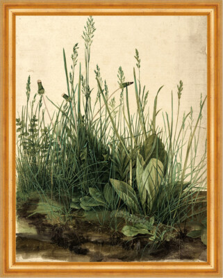 Das große Rasenstück Albrecht Dürer Wiese Gras Pflanzen Natur H A3 0338 Gerahmt