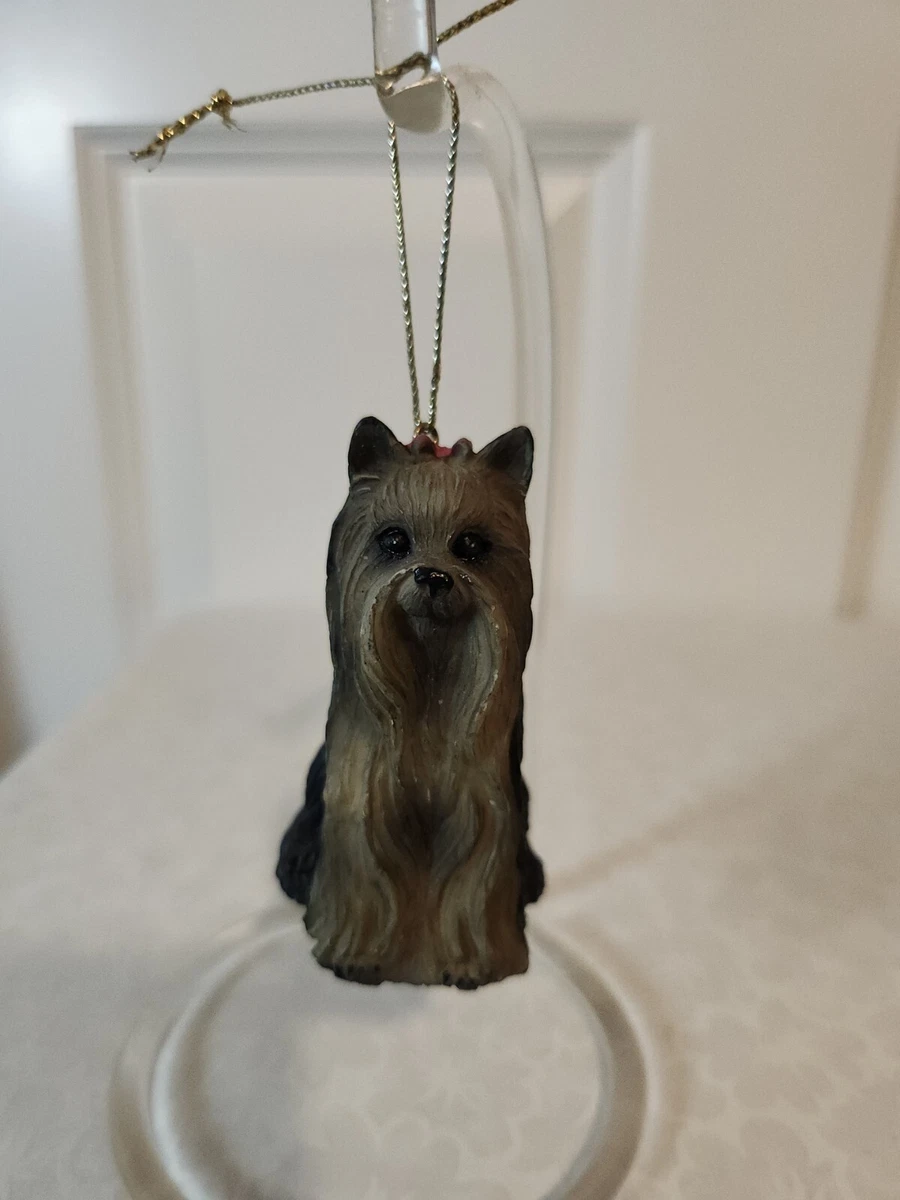 Black clearance hair yorkie