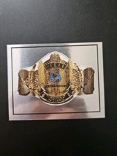 Pack Fresh World Wrestling Heavyweight Championship Belt WWF Merlin WWE  Sticker