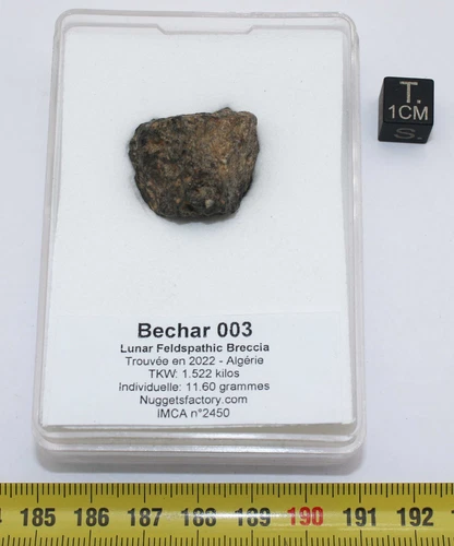 Lunar Meteorite Bechar 003-Feldspathic Breccia (Algeria - 11.60 grs-020)