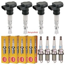 4x DELPHI Zündspule +4x NGK Zündkerze für Nissan Almera II Hatchback N16