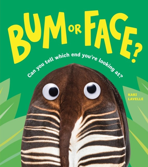Bum or Face by Kari Lavelle (Paperback Book)