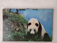 Quadri varie misure  e generi Puzzle vintage con telaio