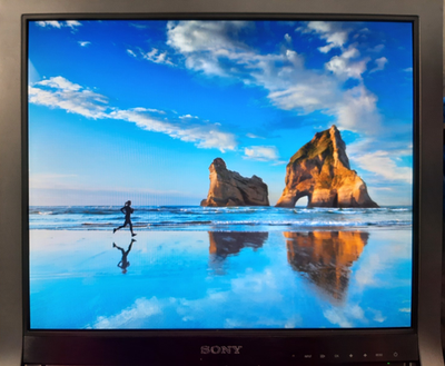 Sony 19