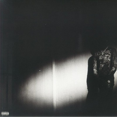 Destroy Lonely - No Stylist - Vinyl (LP)