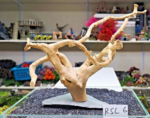 RED MOOR on SLATE wood bogwood driftwood aquariums vivariums REDMOOR - 第 19/33 張圖片
