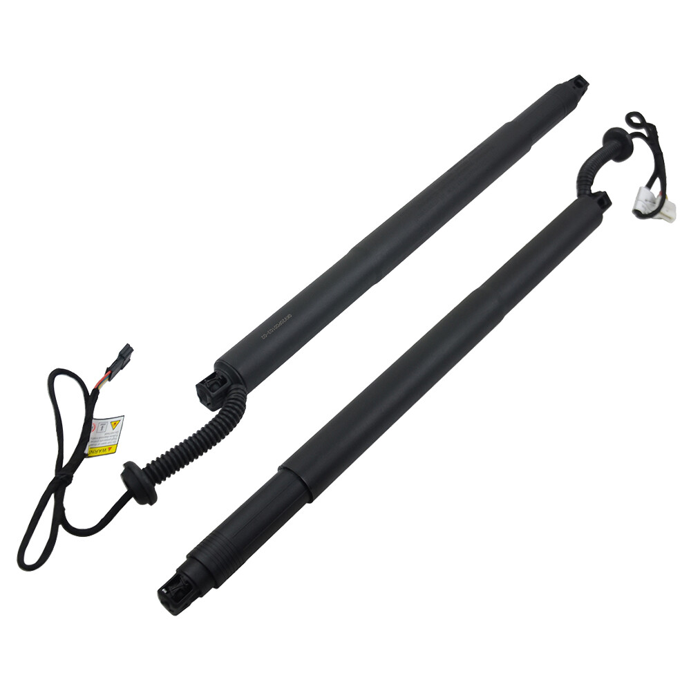 2* 7318651 7318652 Boot Cargo Area Gas Spring Strut Tailgate for