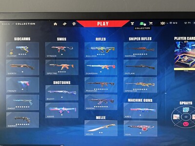 Valorant Account EU full acces, Skins in Discription (bin deutsch),Paypal,Bank