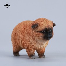 JXK 1/6 Dada La Pomerania Gialla Figura Modello Animale Adulto Bambini Regalo Giocattoli