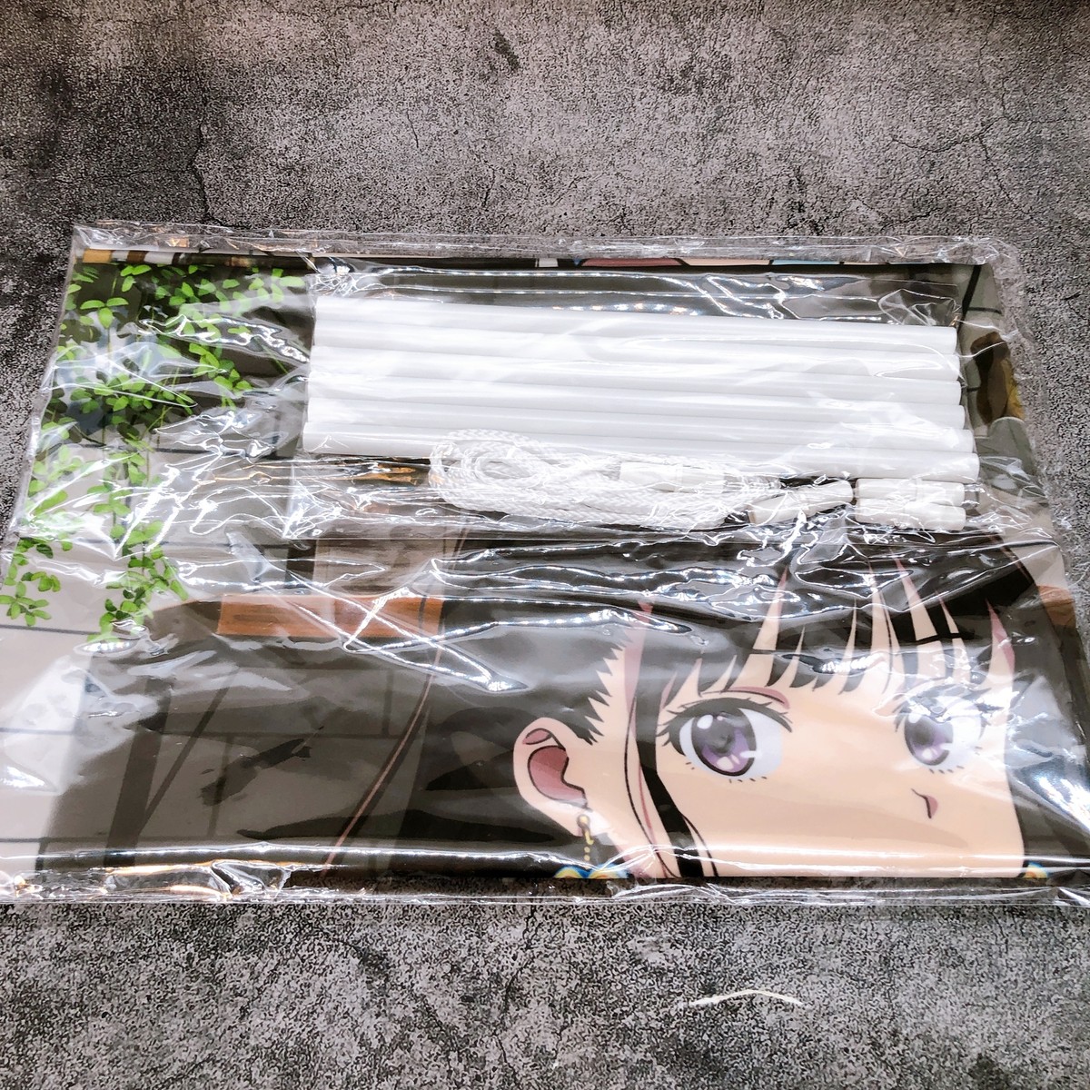 Lycoris Recoil Takina Inoue & Mizuki Nakahara B1 Wall Scroll