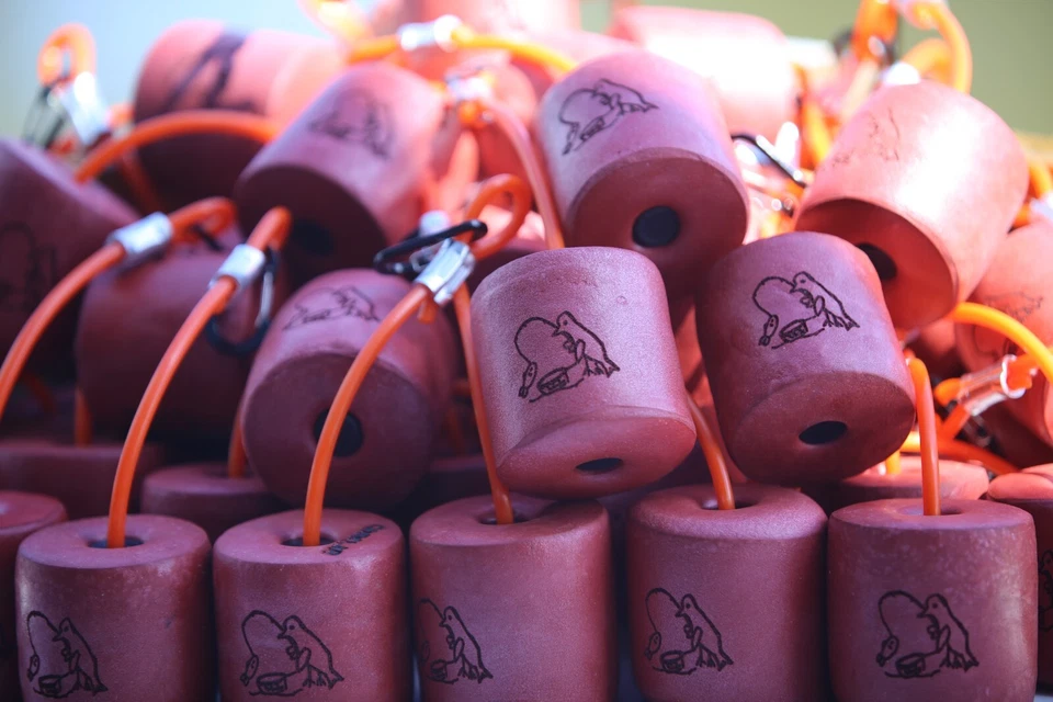 Flotador Boga, flotador GoPro, flotador cualquier cosa (regular) - para boga de 15 lb Foto 3 de 4