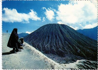 CPM AK MT Bromo, East Java Nest to the famous MT Bromo INDONESIA (1282043)